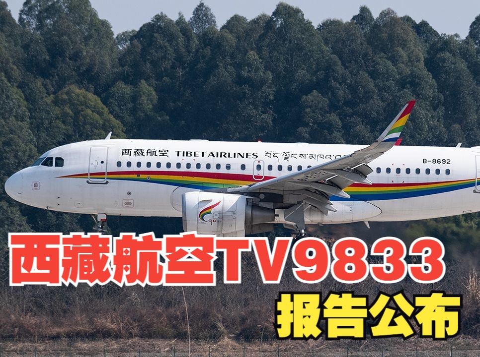 藏航TV9833报告公布,直面问题获网友称赞哔哩哔哩bilibili