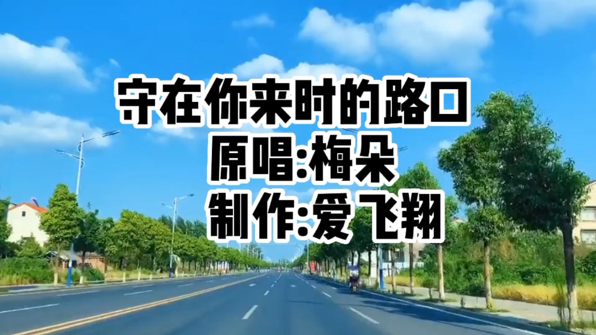 [图]梅朵一首《守在你来时的路口》经典老歌，好听极了