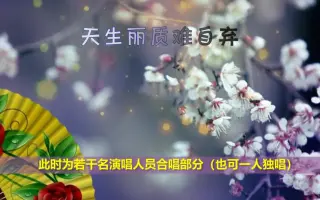 梨花颂伴奏 搜索结果 哔哩哔哩 Bilibili