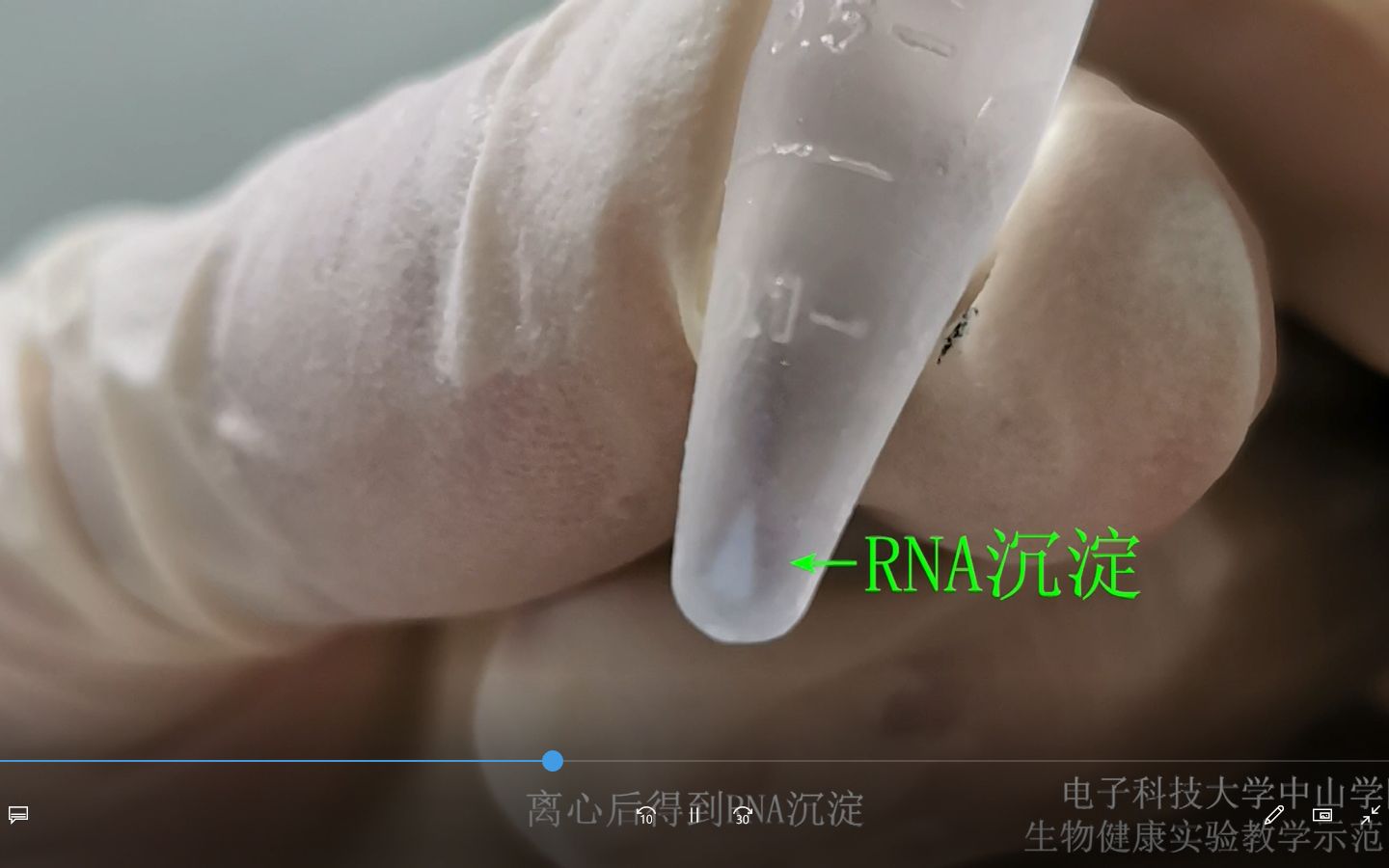 Trizol 法提取组织中的RNA哔哩哔哩bilibili