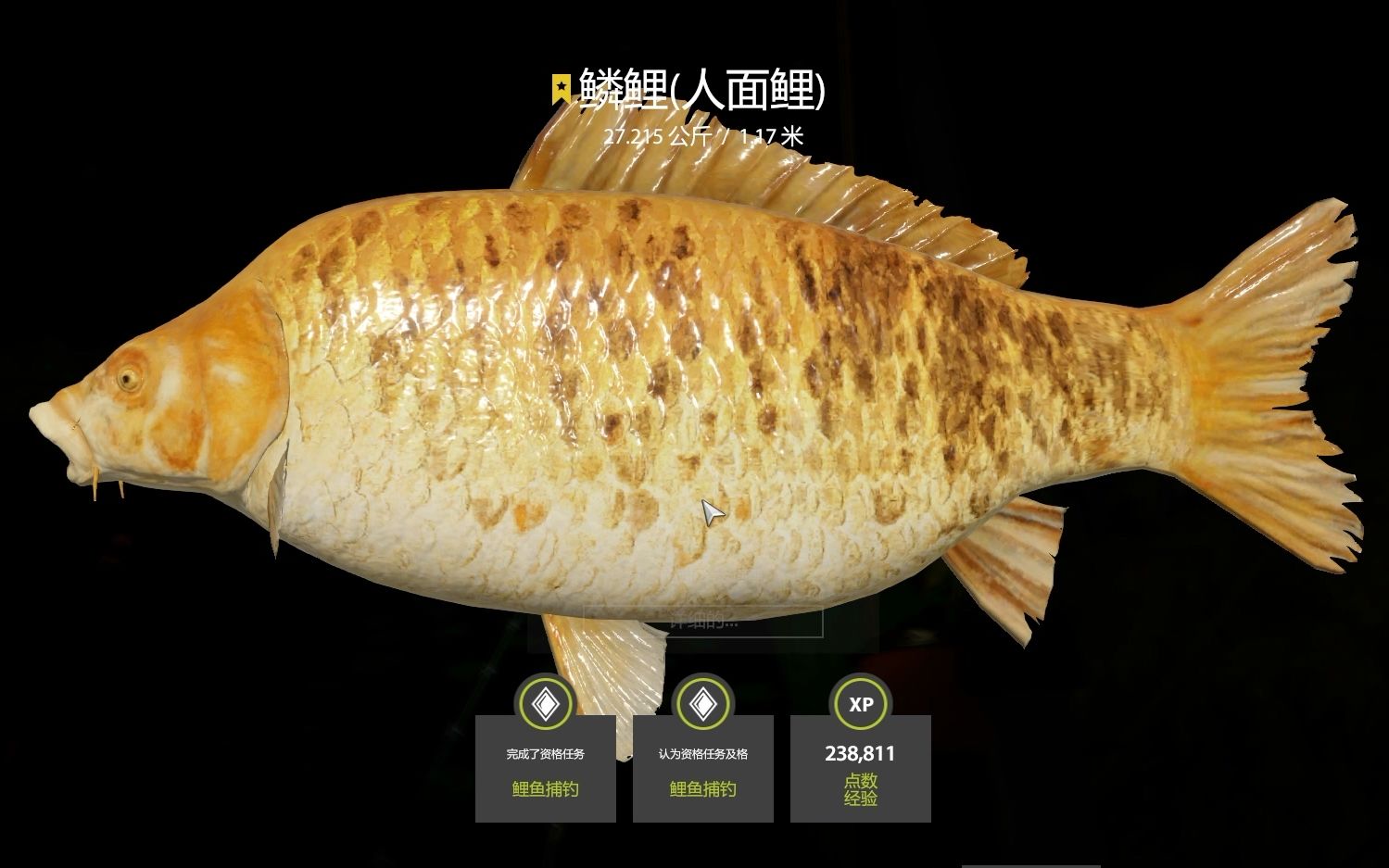 俄罗斯钓鱼4 芜湖~我也是有星稀有鲤鱼的人啦!