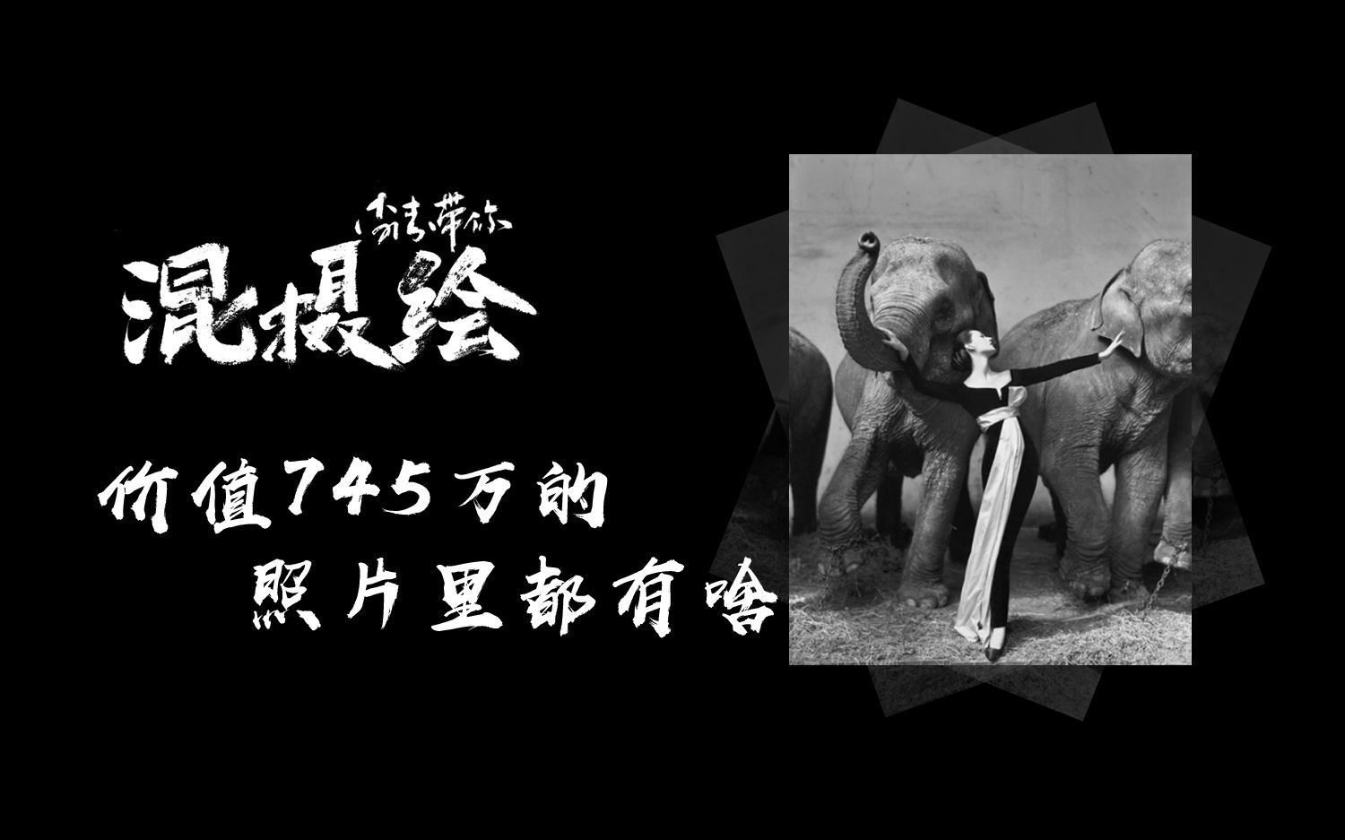 [图]【摄影】价值745万的照片里都有啥（李涛混摄绘）出品（中文字幕）