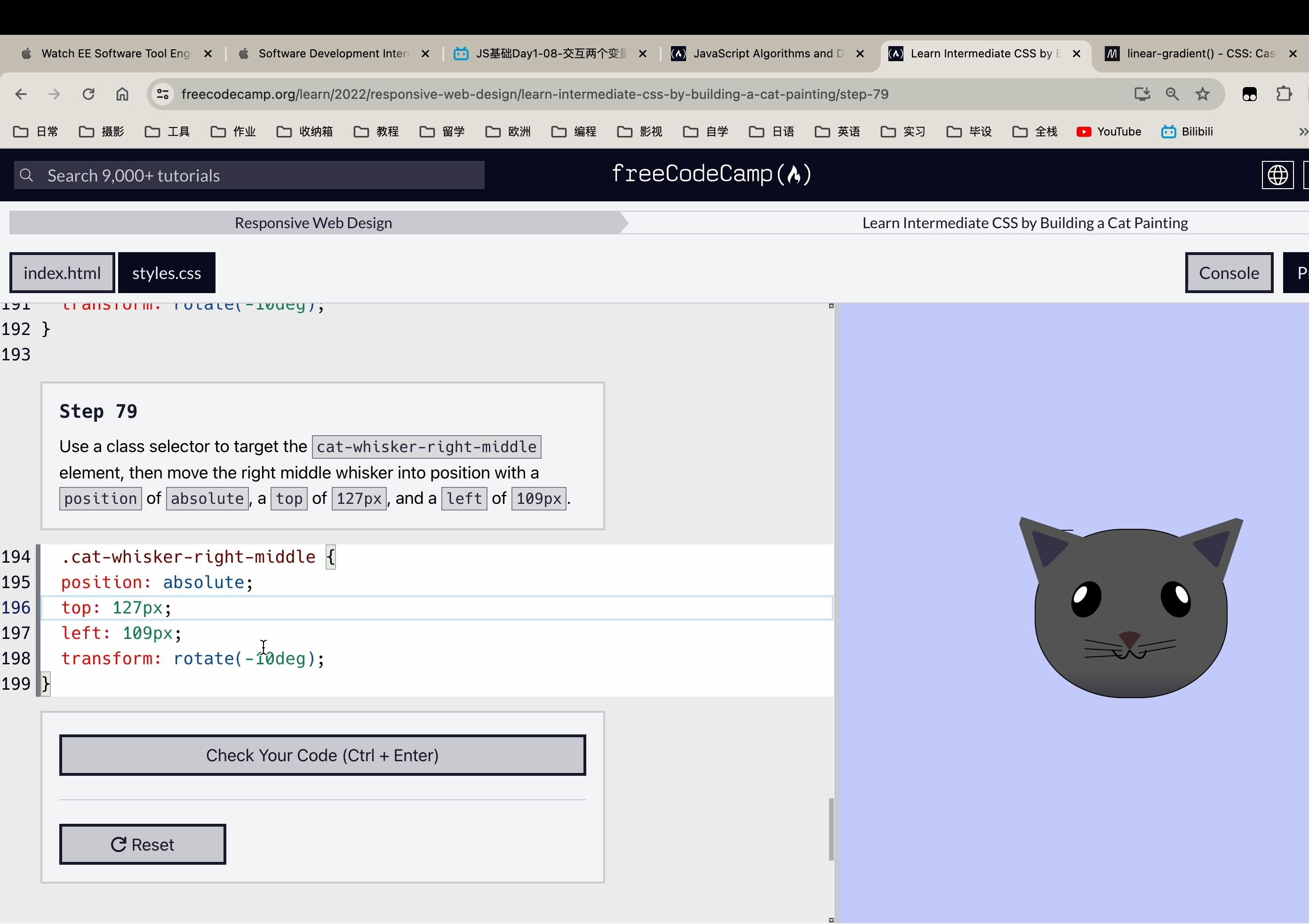  freecodecamp 9 cat painting alonlytraamps 