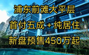 Download Video: 上海大平层｜前滩捡漏房源，仅此一套