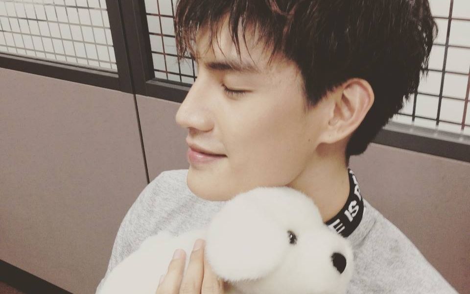 【0726生日活动】折一只叫罗弘证的小狮子