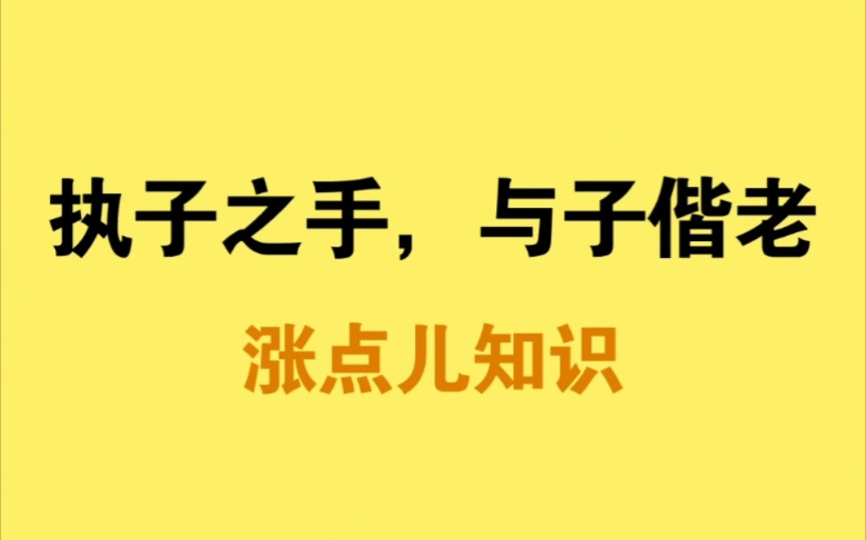 执子之手,与子偕老的真正意思!!!哔哩哔哩bilibili