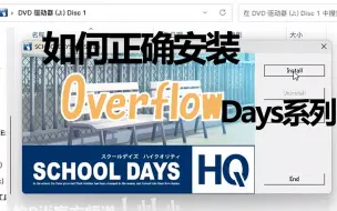 Download Video: [资源分享]如何正确安装0verflow的days系列