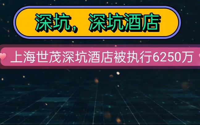 深坑酒店!上海世茂深坑酒店被执行6250万哔哩哔哩bilibili