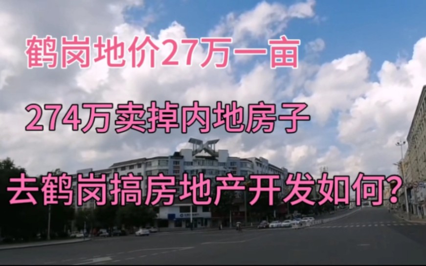 鹤岗地价27万一亩,274万卖掉老家房子,去鹤岗开发房地产如何?哔哩哔哩bilibili