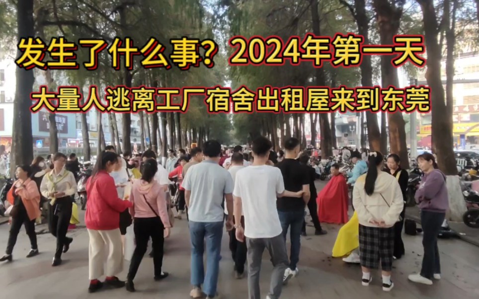 发生了什么事?2024年第一天就有大量人逃离工厂宿舍出租房到东莞哔哩哔哩bilibili