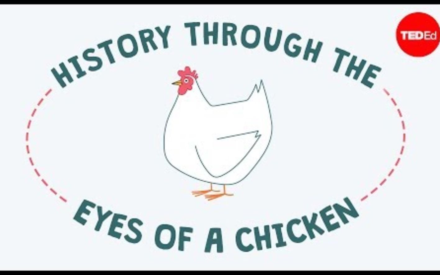 [图]【Ted-ED】鸡眼看历史 History Through The Eyes Of A Chicken