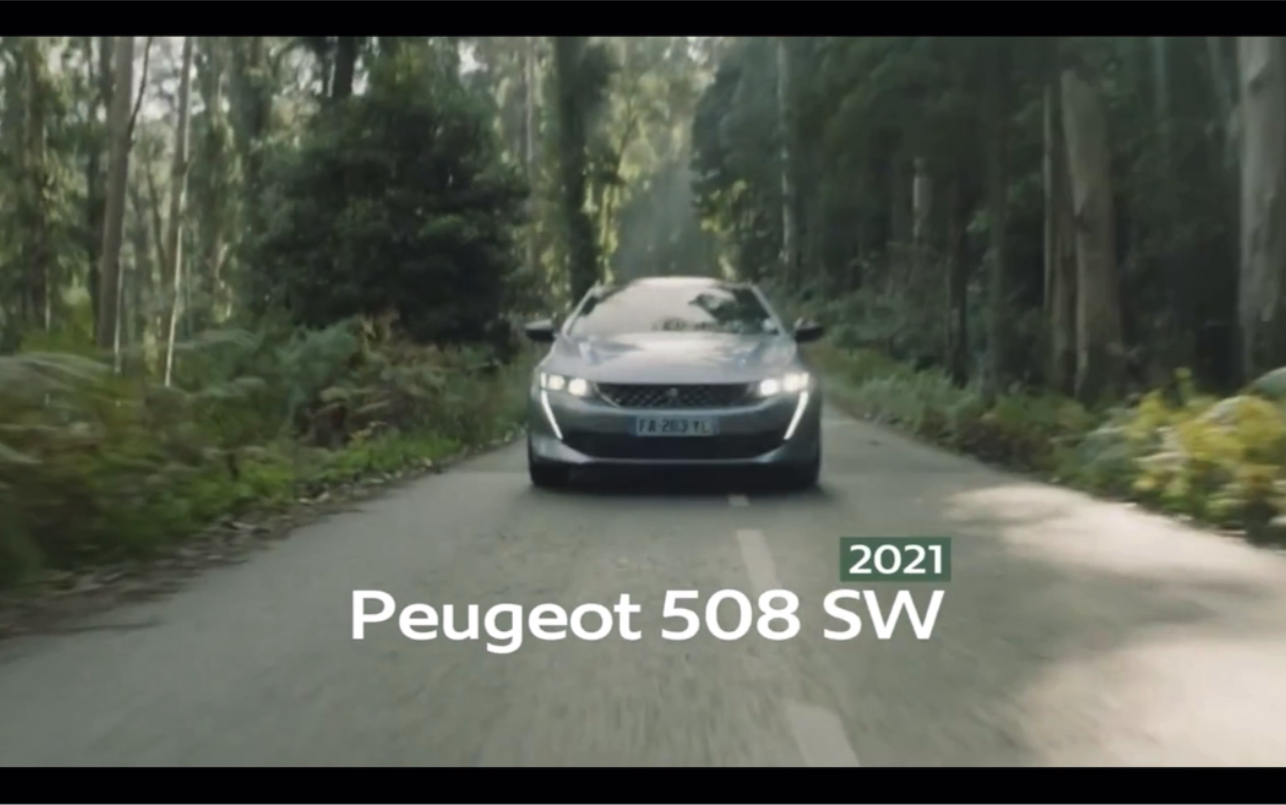 PEUGEOT 508SW 标致哔哩哔哩bilibili