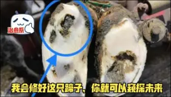 我会修好这只蹄子，你就可以窥探未来