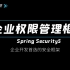企业级Spring Security从入门到实战