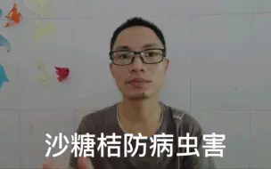 Download Video: 沙糖桔果树怎么防治病虫害？有什么技巧吗？