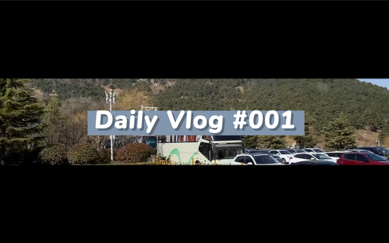 个人vlog|青岛野生动物园打卡/自驾/记录/开学之前去哪玩儿/青岛旅游攻略哔哩哔哩bilibili