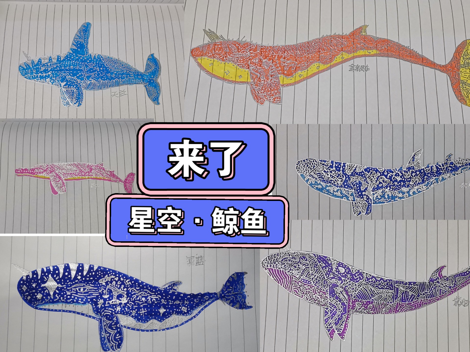 近期画的星空·鲸鱼
