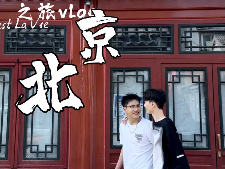 我和男媳远赴京城之旅vlog哔哩哔哩bilibili