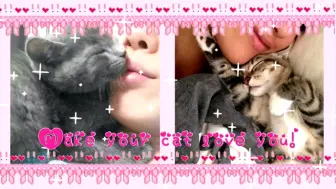 Download Video: [Pinkmilk]让你的猫猫更爱你♡