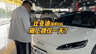 Download Video: 上牌仅一天的比亚迪海豹06，车主为何急着出手？