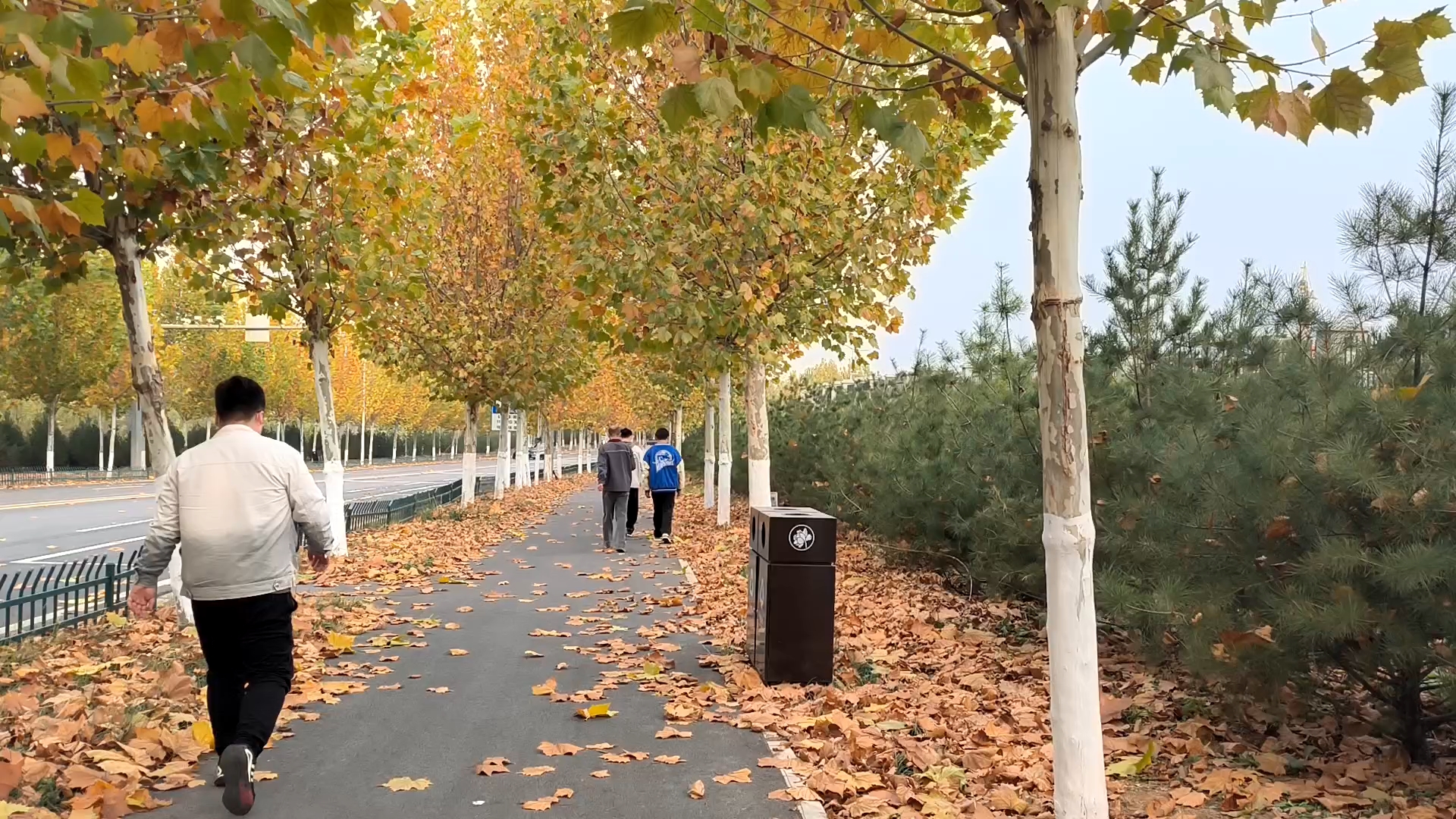 [图]秋风扫落叶，季节的更替，岁月不老人。