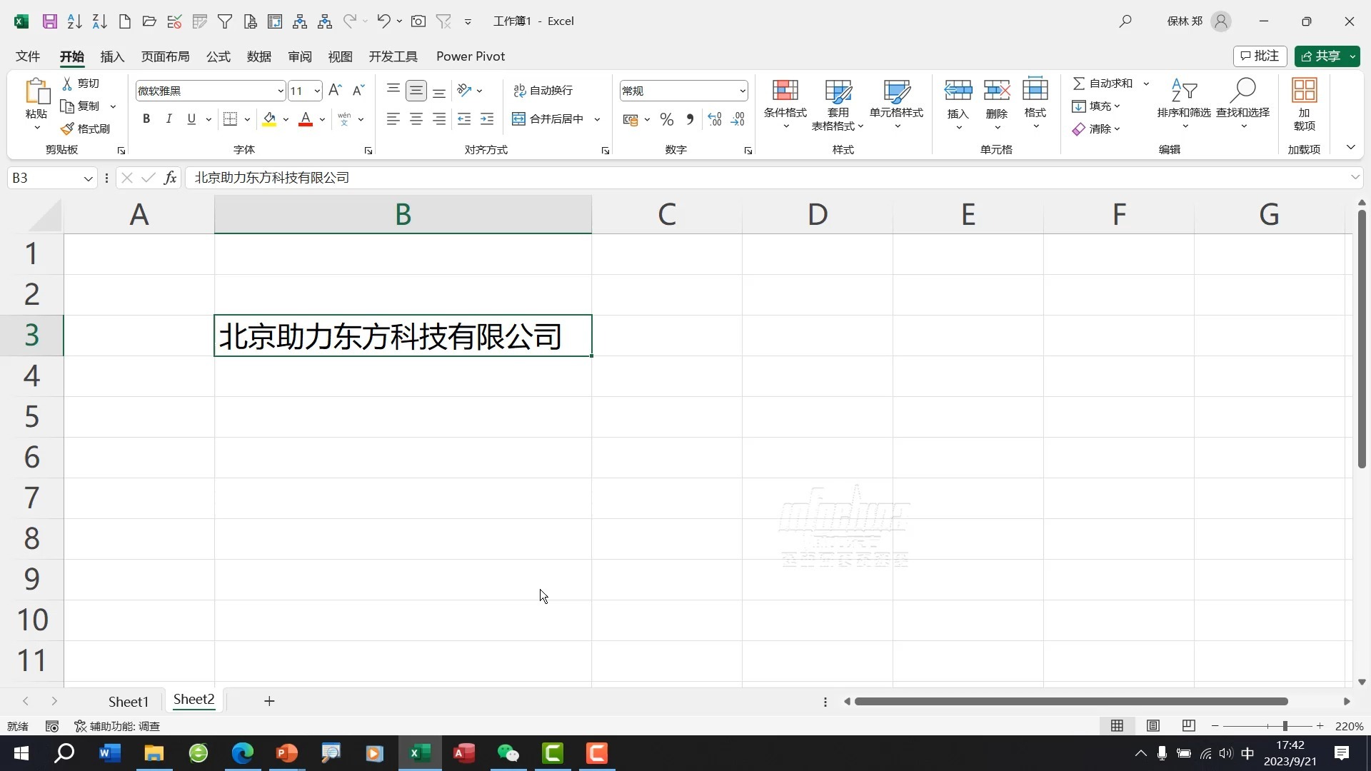 excel自动适应格式