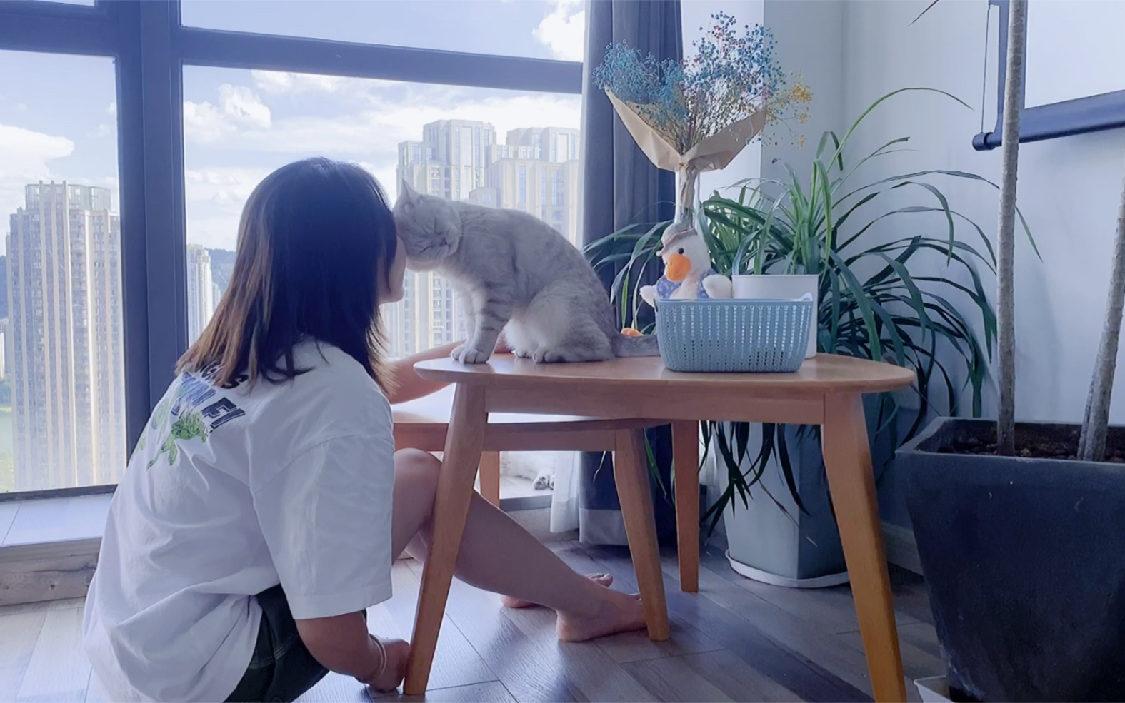 一人一猫一世界