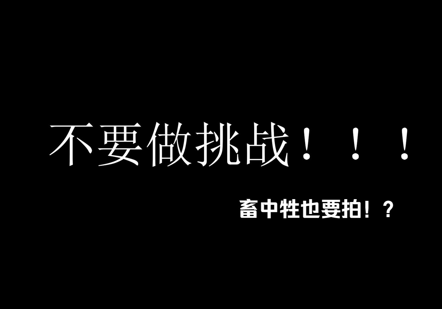 畜中牲也要拍不要做挑战!?哔哩哔哩bilibili