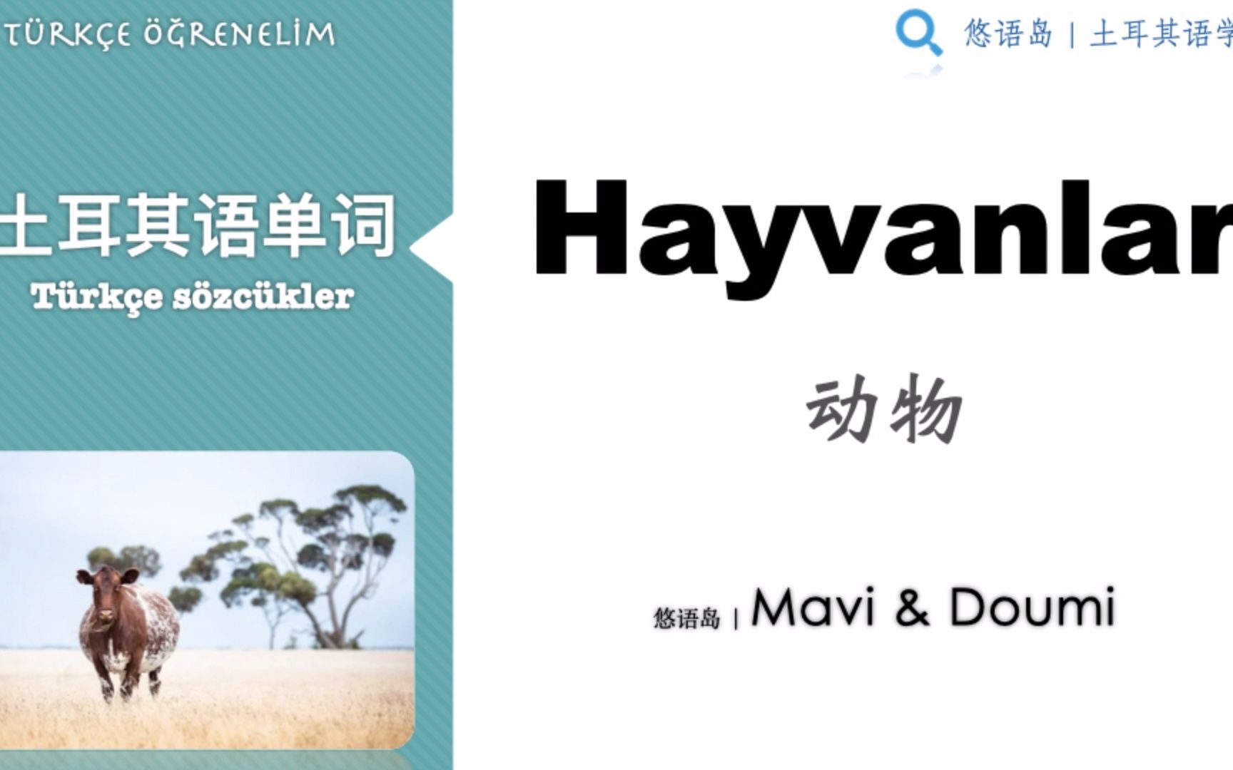 土耳其语单词 | 动物 Hayvanlar哔哩哔哩bilibili