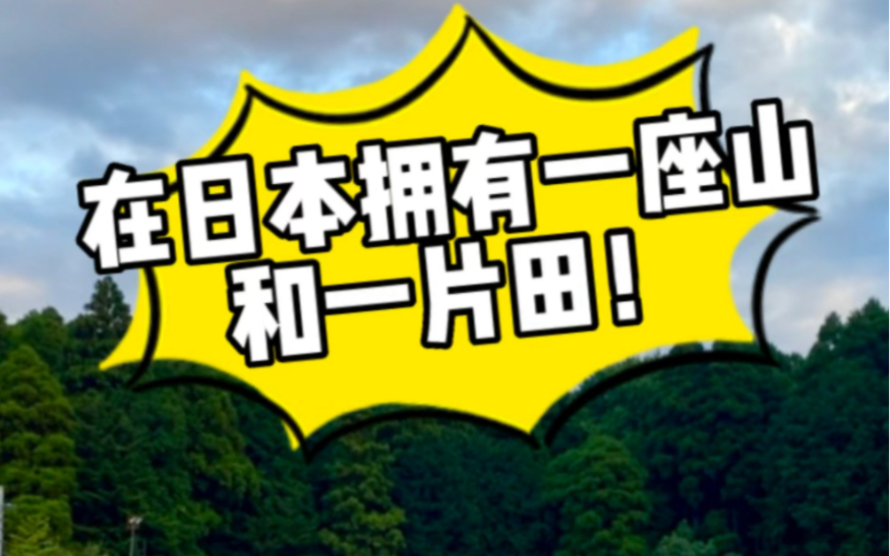 在日本做山主是什么感受?拥有一座山和一片田!哔哩哔哩bilibili