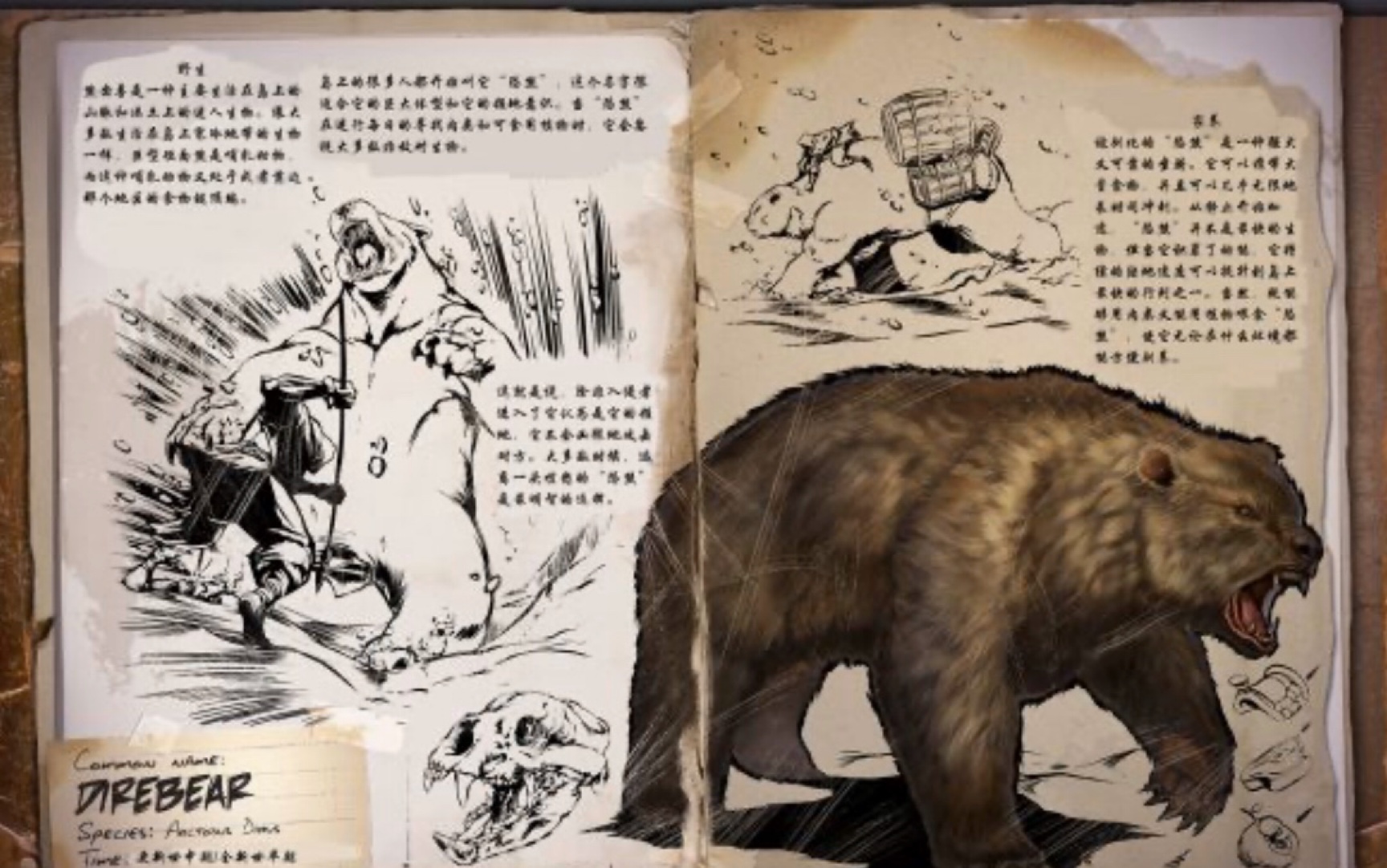 活动作品方舟生存进化生物介绍第38期恐熊
