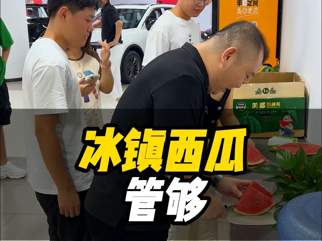 准新车哔哩哔哩bilibili