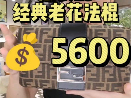 Fendi法棍包￥5600哔哩哔哩bilibili