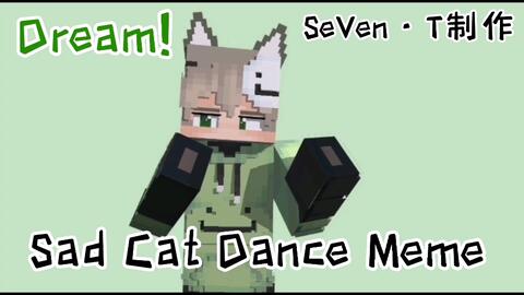 Sad Cat Dance Meme_哔哩哔哩_bilibili