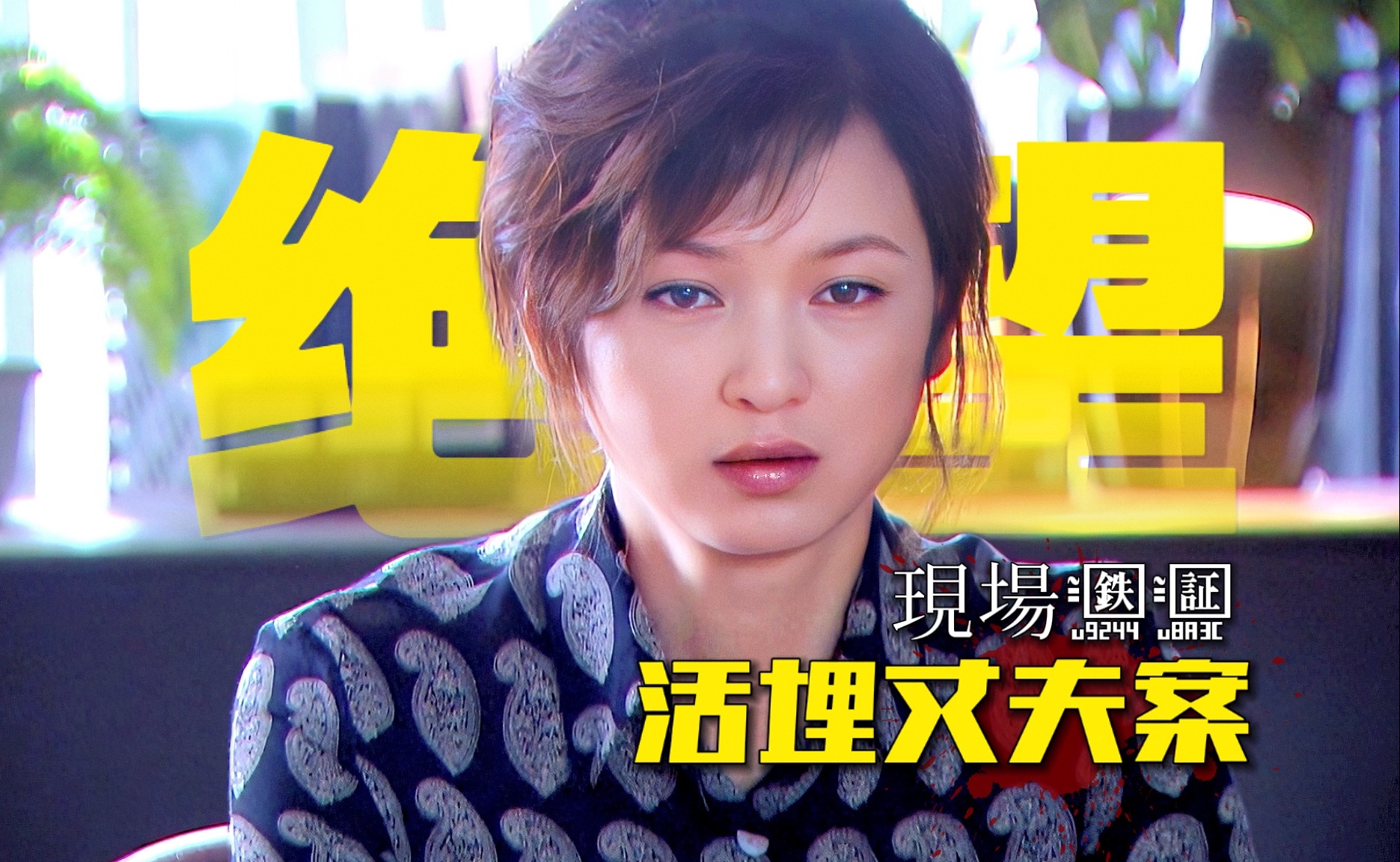 《现场铁证》第十九集