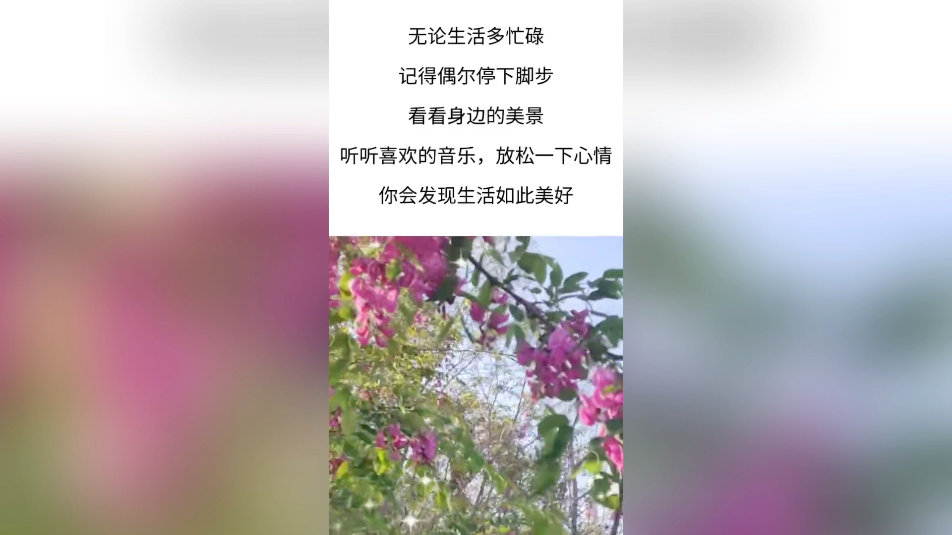 [图]生活中并不缺少美，缺少的是发现美的眼睛。很多时候我们在抱怨生活、抱怨命运。因此被蒙蔽了发现美的双眼。偶尔驻足，沉淀自我，可以发现美，其实就在身边！