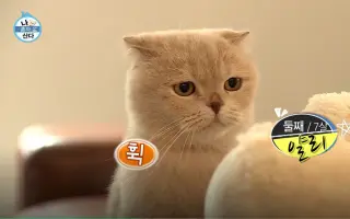 Naver Ever 搜索结果 哔哩哔哩弹幕视频网 つロ乾杯 Bilibili