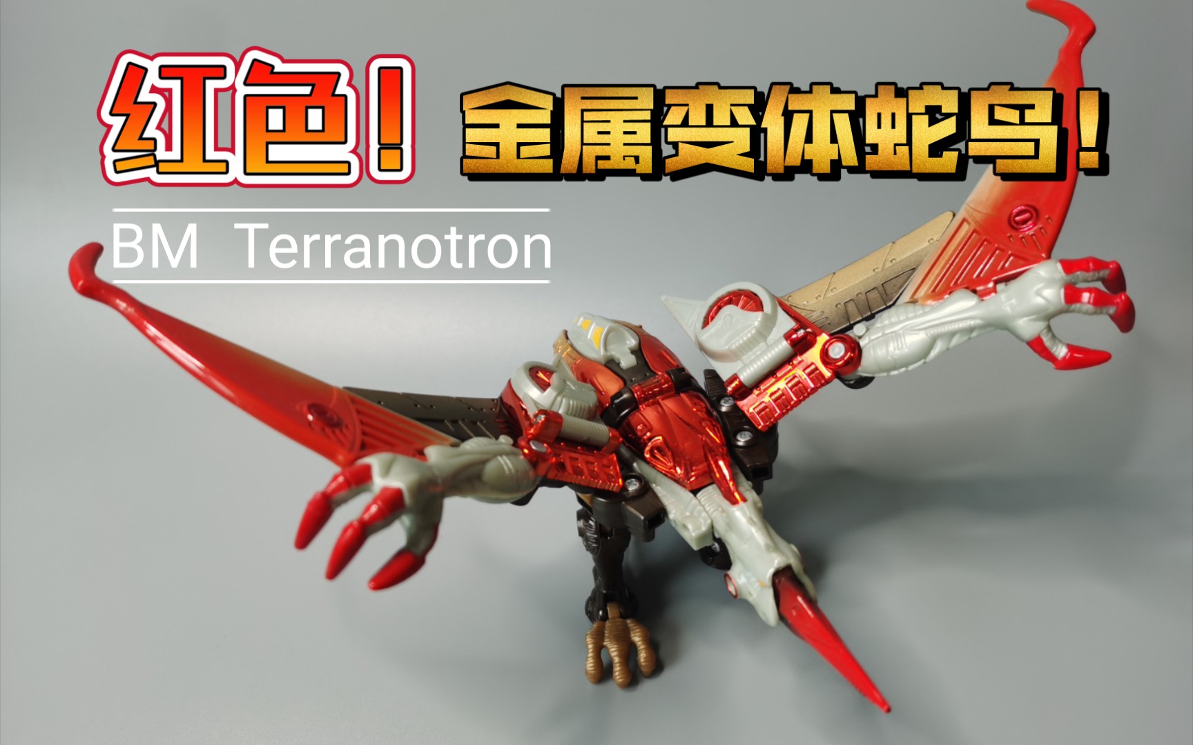 【第82期】来自bm的红色金属变体蛇鸟_哔哩哔哩_bilibili
