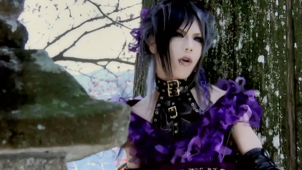 己龍 明鏡止水 ポスター V系 ヴィジュアル系 V系って知ってる？』