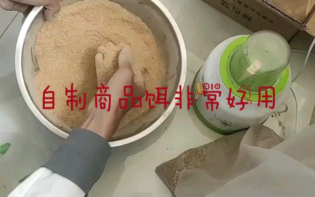 在家就可以自己制作的野钓商品饵,钓鲤鱼鲫鱼,非常好用哔哩哔哩bilibili