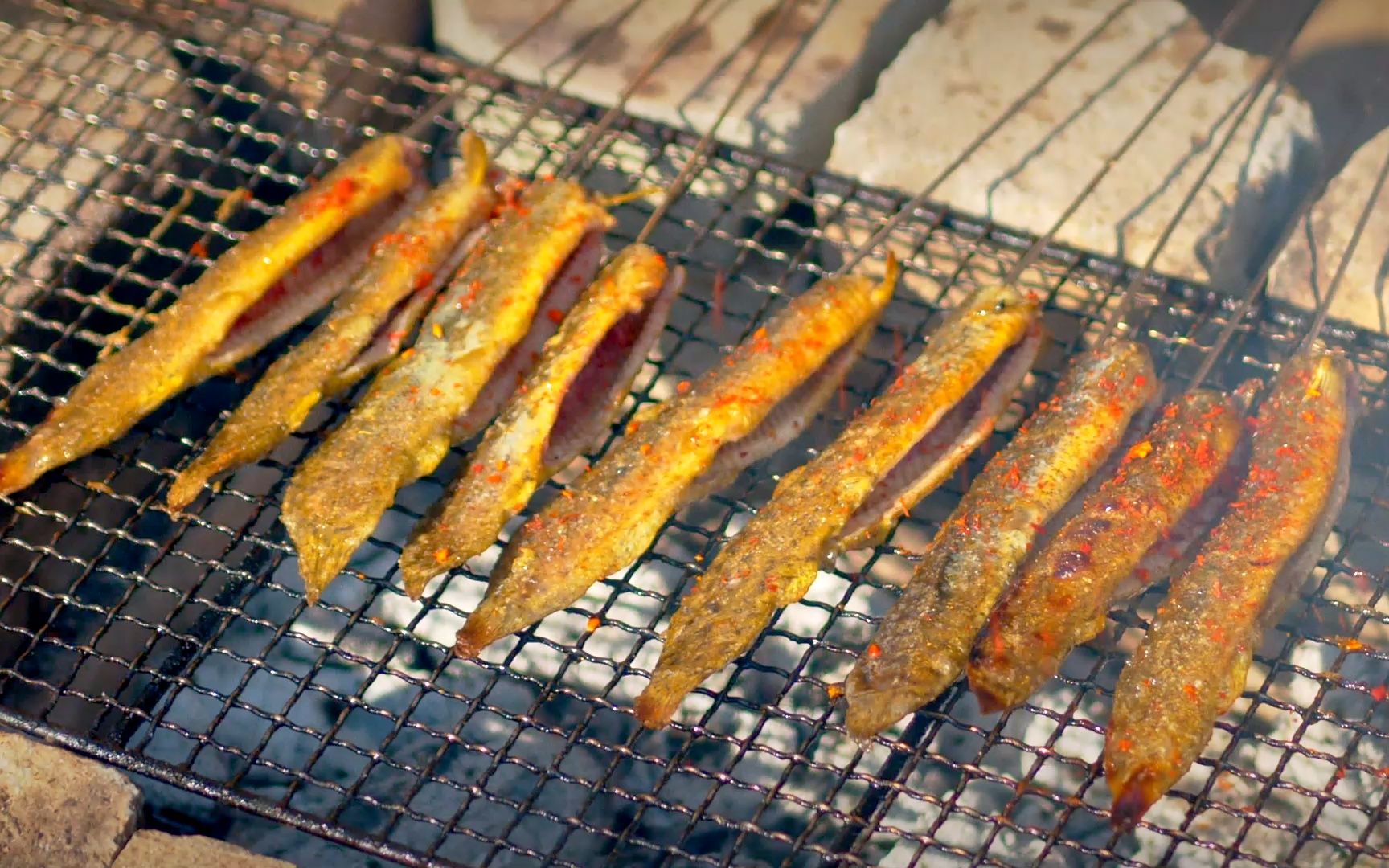 黄金泥鳅烤的滋滋冒油,水中小人参,香!