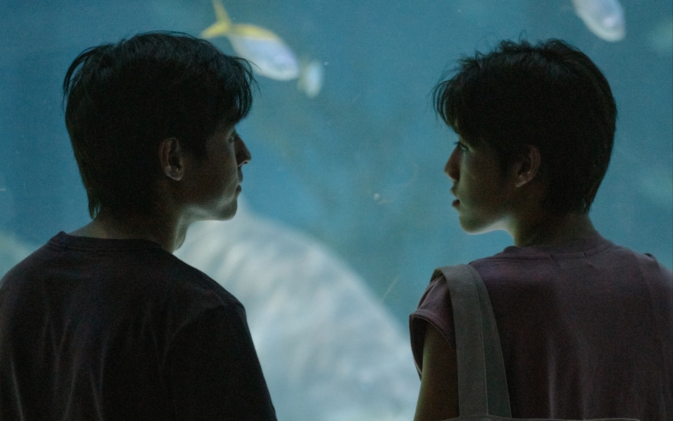 【bkpp|以爱2】bk:我对他无法客观,因为我主观爱他