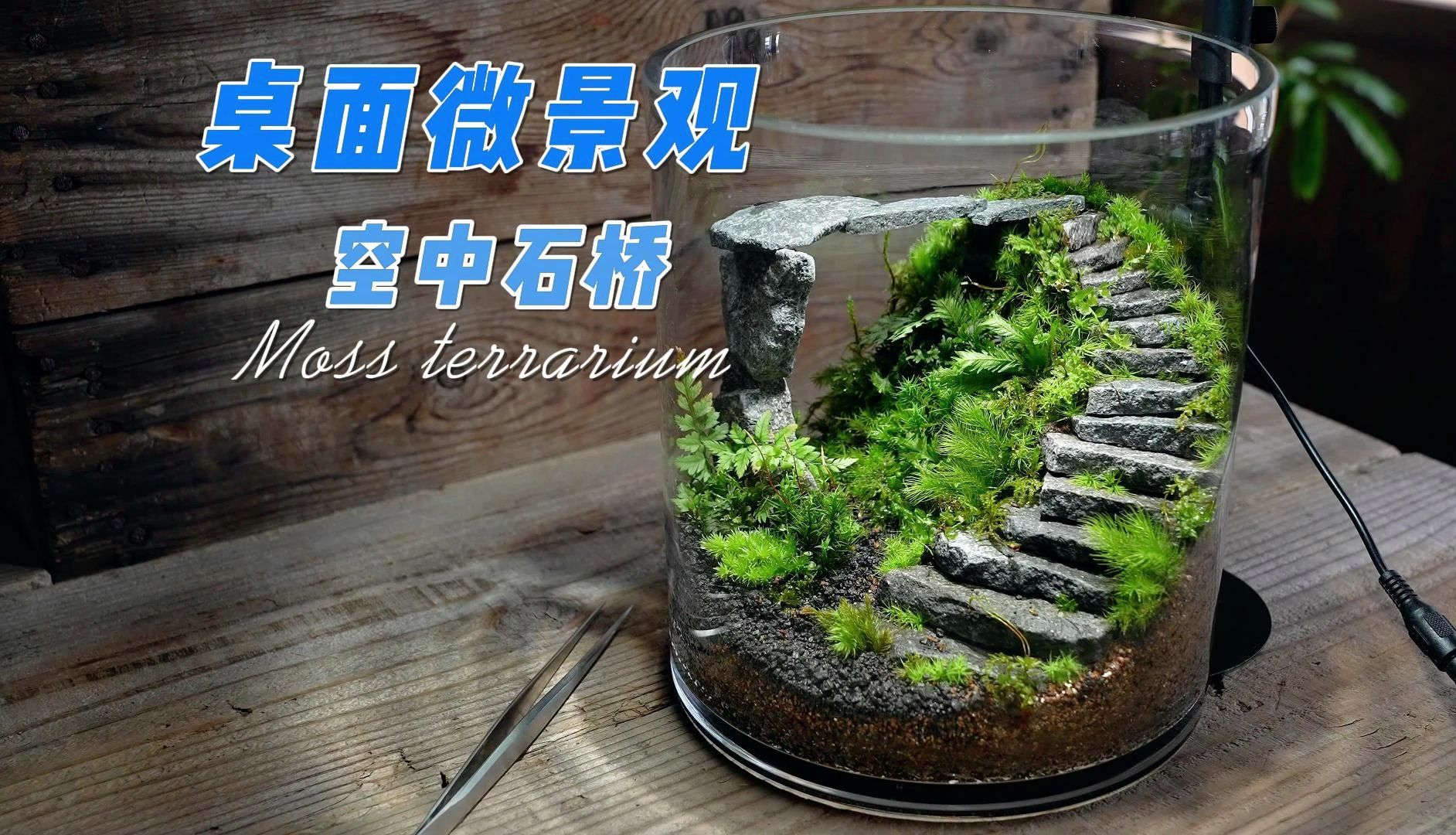 桌面微景观制作——空中石桥-图爸的一生全靠浪-默认收藏夹-哔哩哔哩