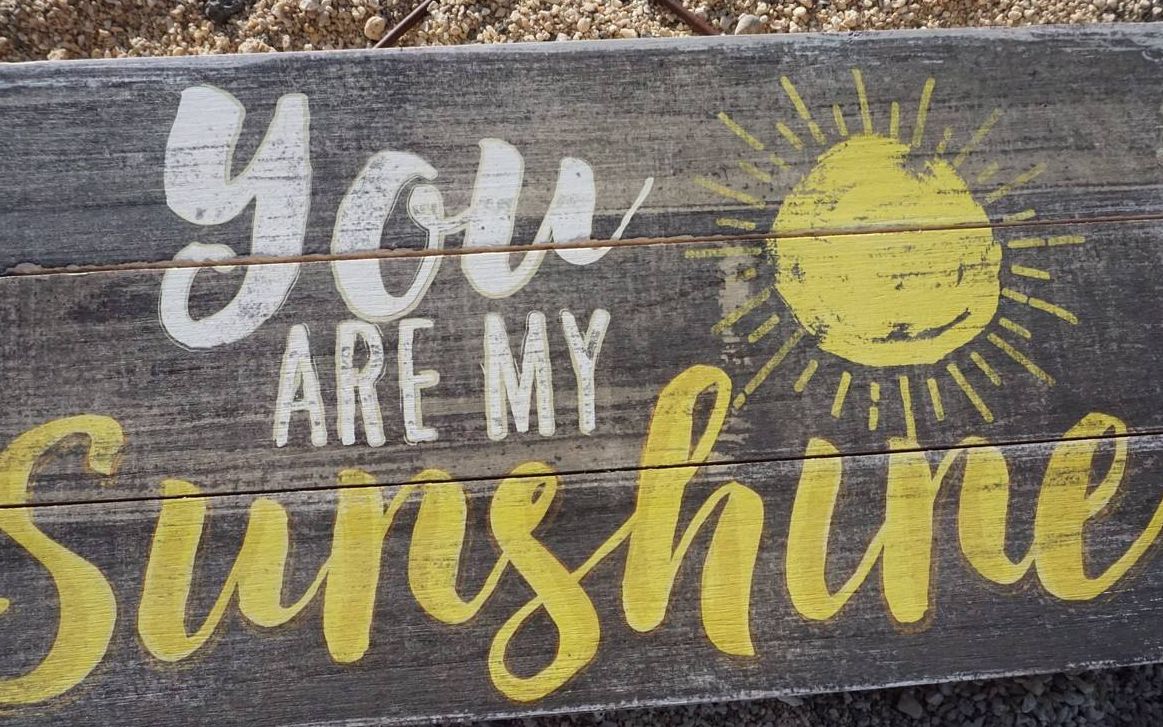 you are my sunshine 萌新指弹第4弹