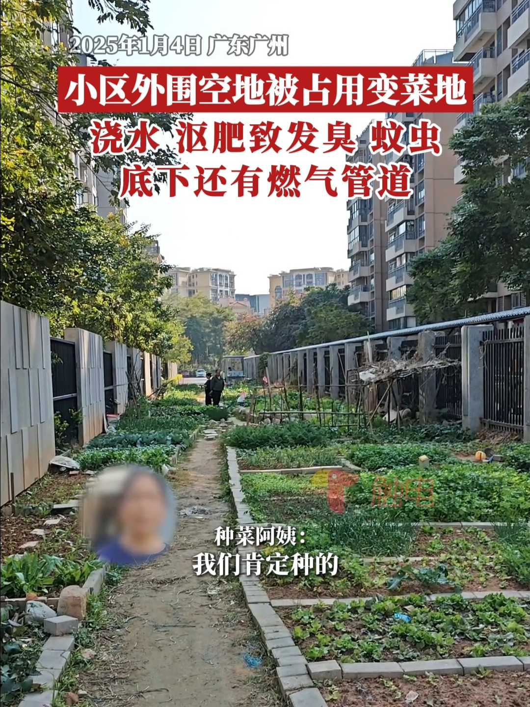 小区外围空地被占用变“菜园”,浇水、沤肥致发臭、蚊虫滋生哔哩哔哩bilibili