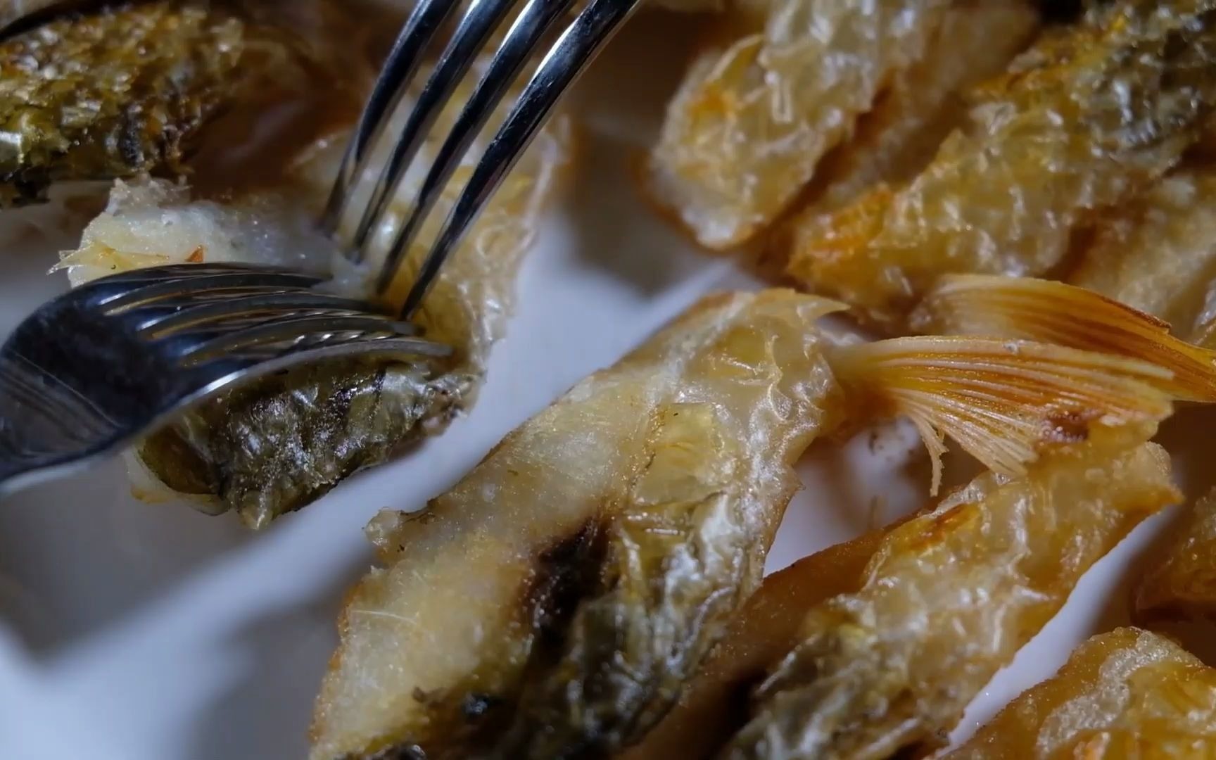 香煎苏丹鱼_哔哩哔哩 (゜-゜)つロ 干杯~-bilibili