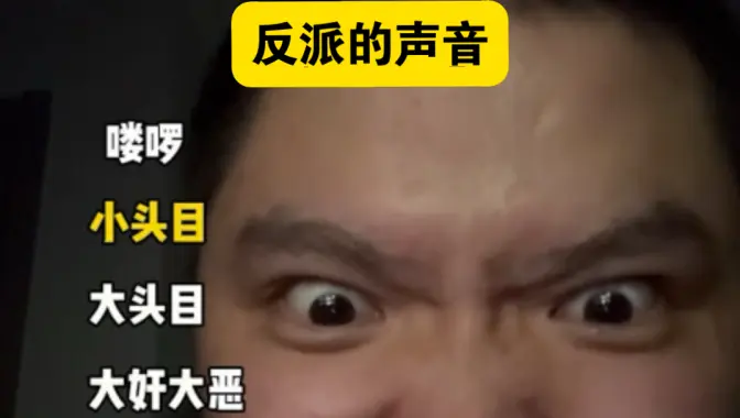 反派的声音