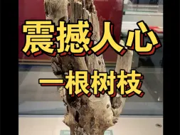 一根承载着悲壮历史的枯枝  1952年，朝鲜人民军代表团赠送给东海舰队的礼物—上甘岭的枯枝。这段枯枝只有85公分，居然嵌入了35枚炮弹弹片。