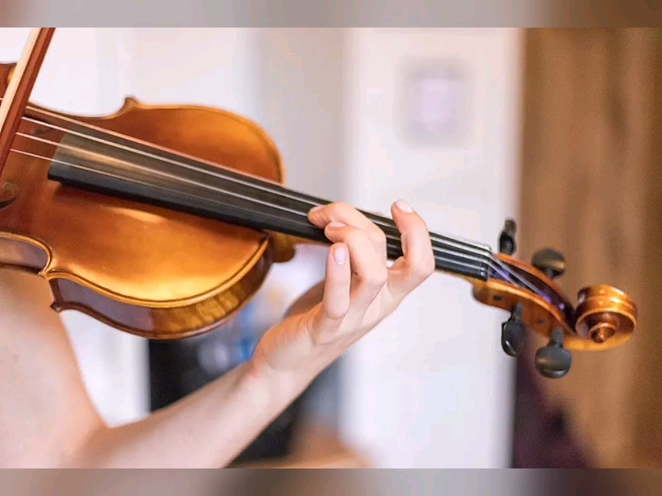 演奏,拉小提琴曲
