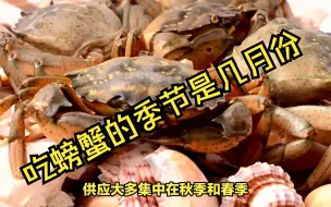 Download Video: 吃螃蟹的季节是几月份